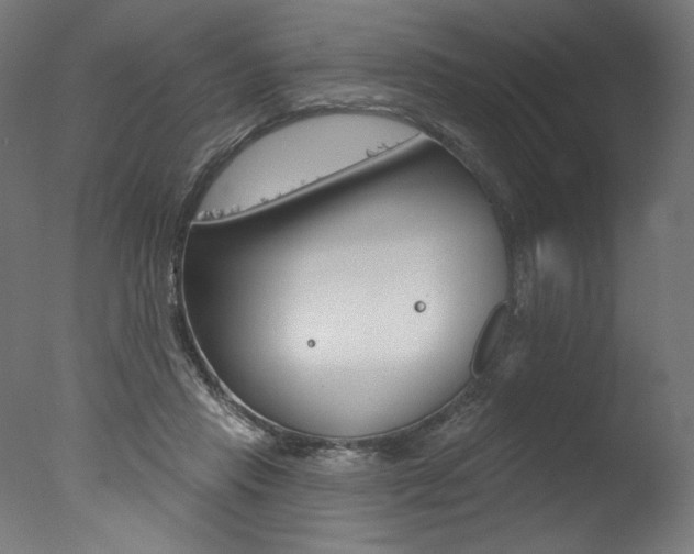 X0000077310453200610200846