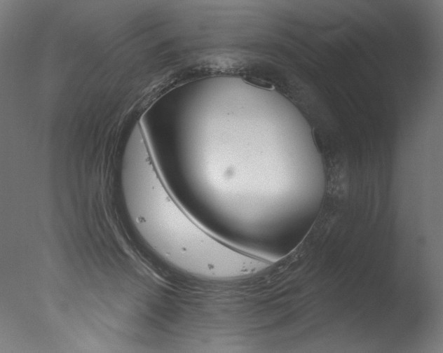 X0000077310456200610200846