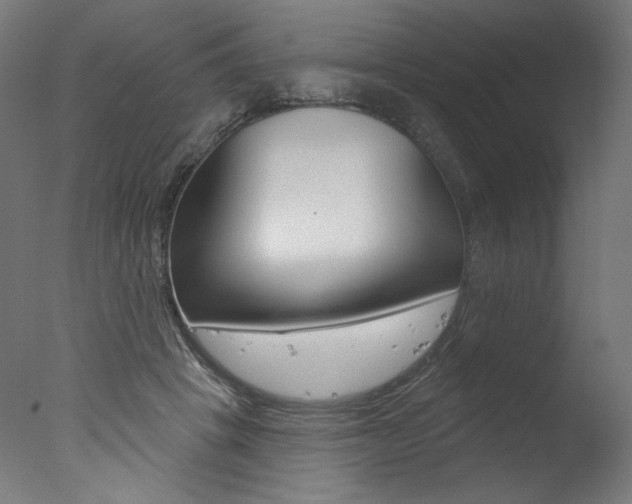 X0000077310457200610200846