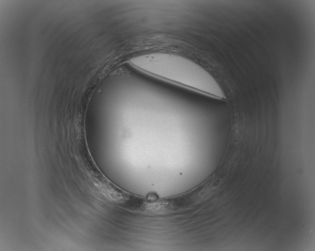 X0000077310461200610200846