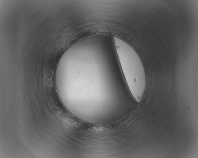 X0000077310464200610200846