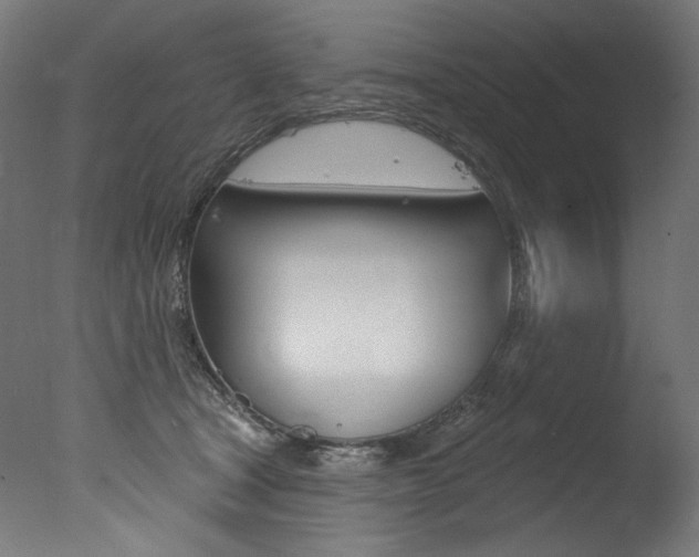 X0000077310465200610200846