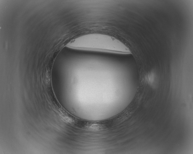 X0000077310467200610200846