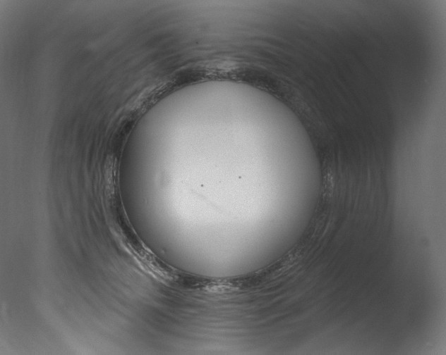 X0000077310468200610200846