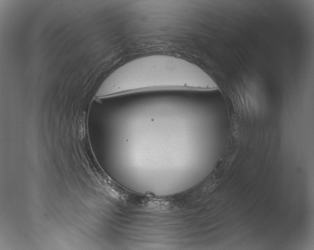 X0000077310471200610200846