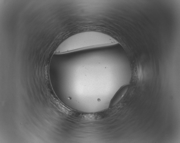 X0000077310473200610200846