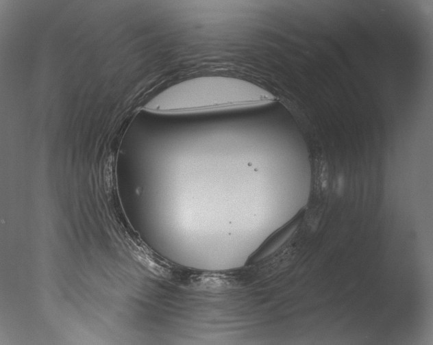 X0000077310475200610200846