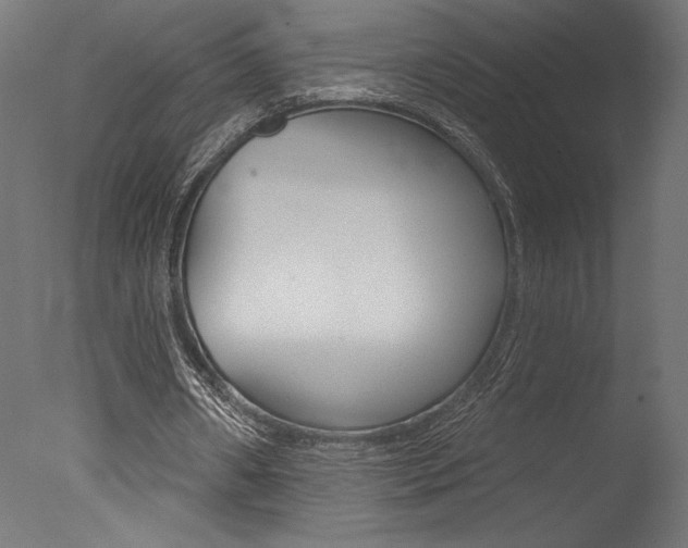 X0000077310482200610200845