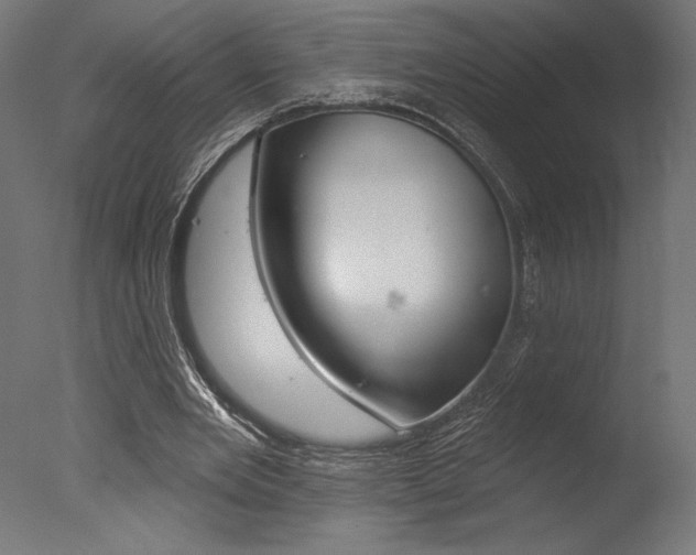 X0000077310485200610200845