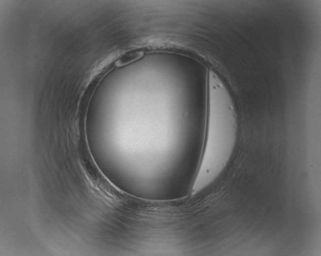 X0000077310488200610200845