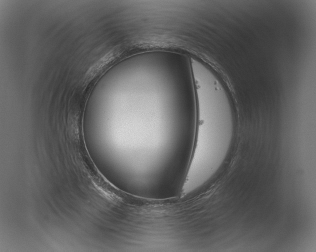 X0000077310489200610200845