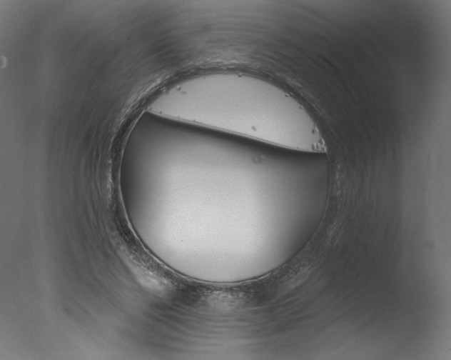 X0000077310494200610200845