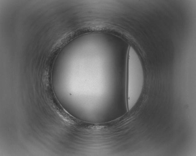 X0000077310497200610200845