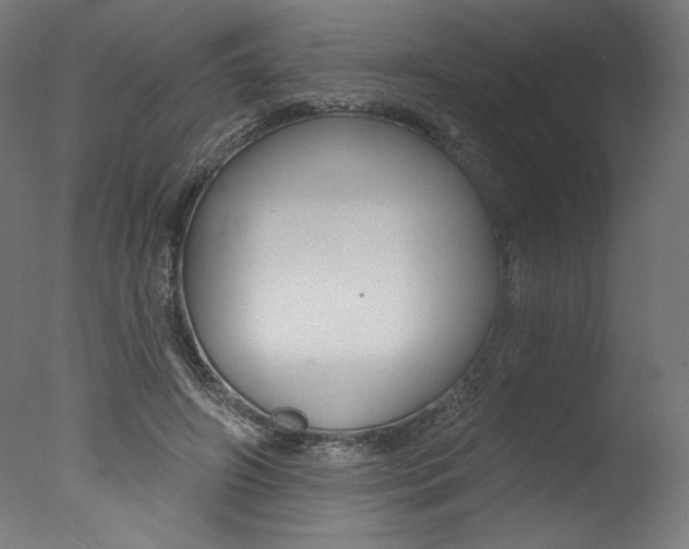X0000077310498200610200845