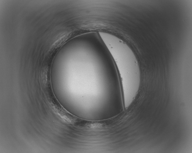 X0000077310501200610200845