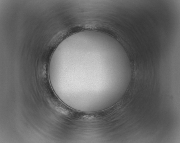 X0000077310502200610200845