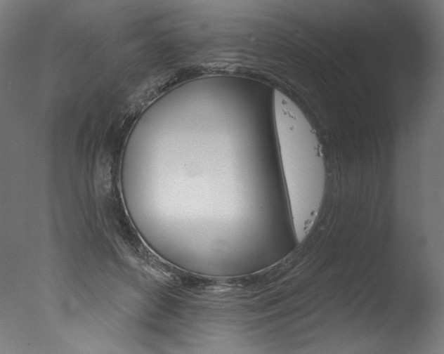 X0000077310504200610200845