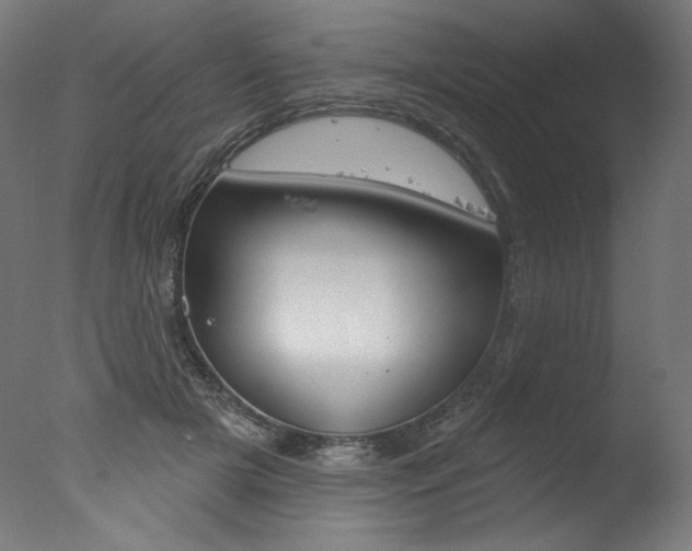 X0000077310505200610200845