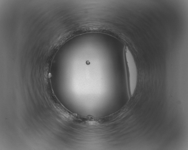 X0000077310509200610200845