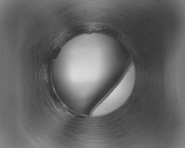 X0000077310512200610200845
