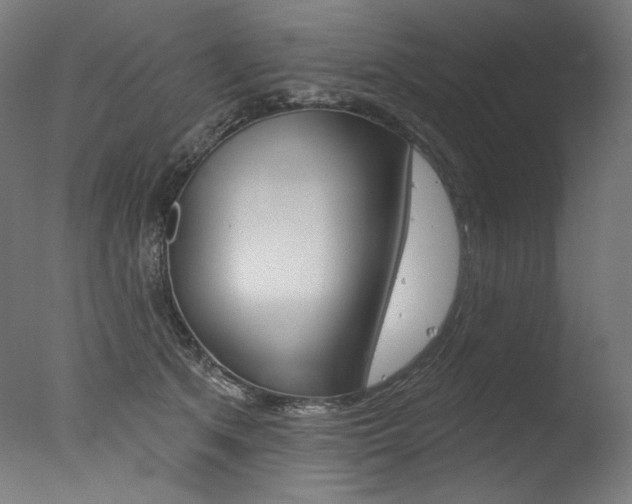 X0000077310513200610200845