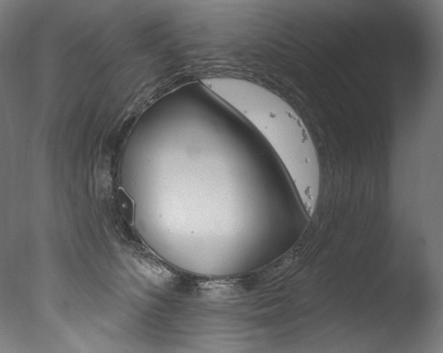 X0000077310516200610200845