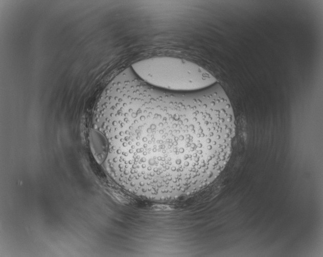 X0000077310519200610200845