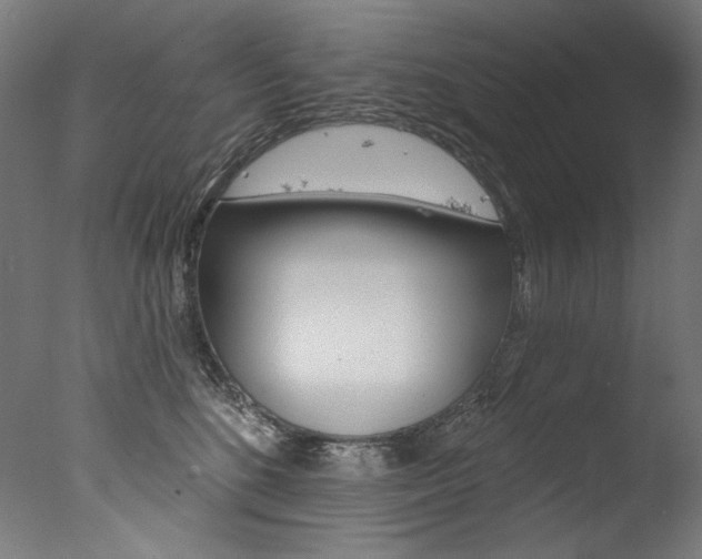 X0000077310520200610200845
