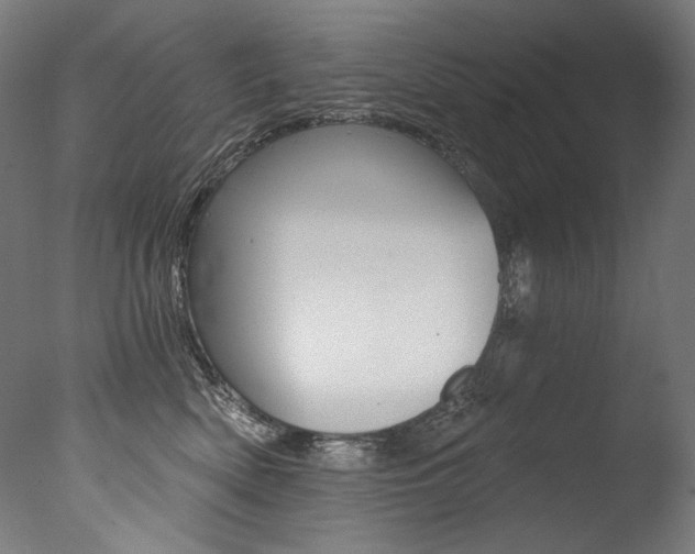 X0000077310522200610200845