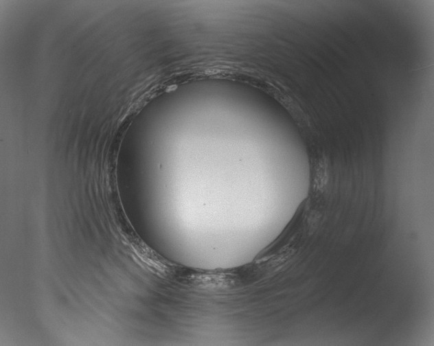 X0000077310524200610200845