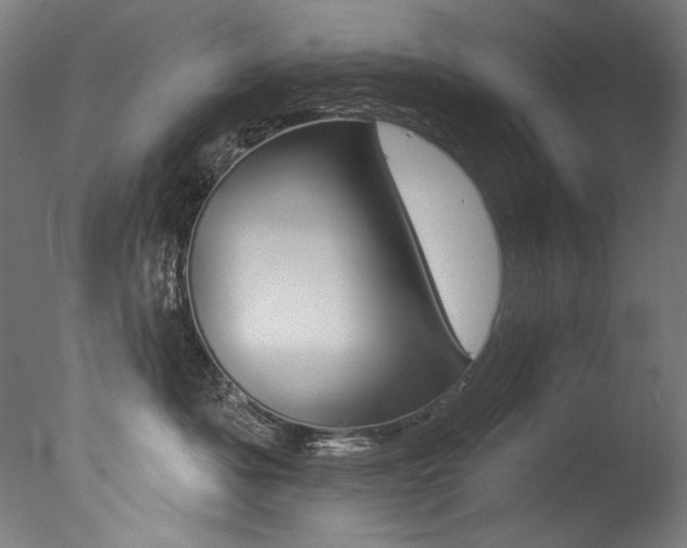 X0000077310525200610200845
