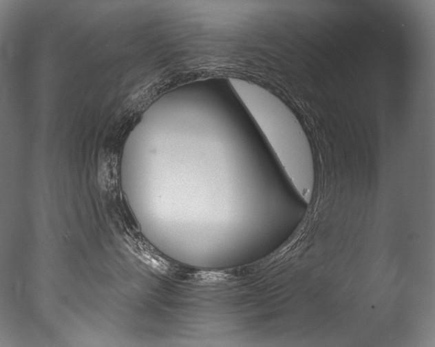 X0000077310528200610200845