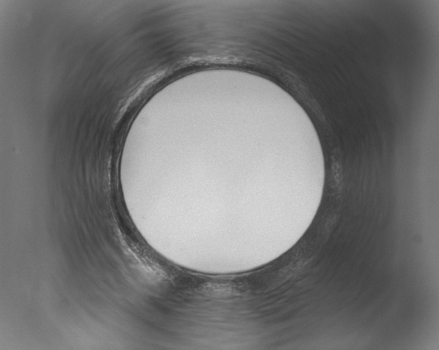 X0000077310534200610200844
