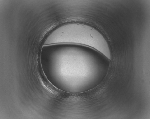 X0000077310538200610200844