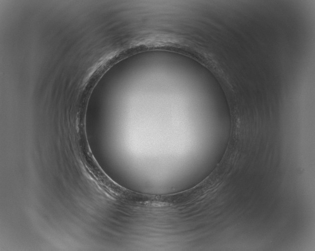 X0000077310539200610200844