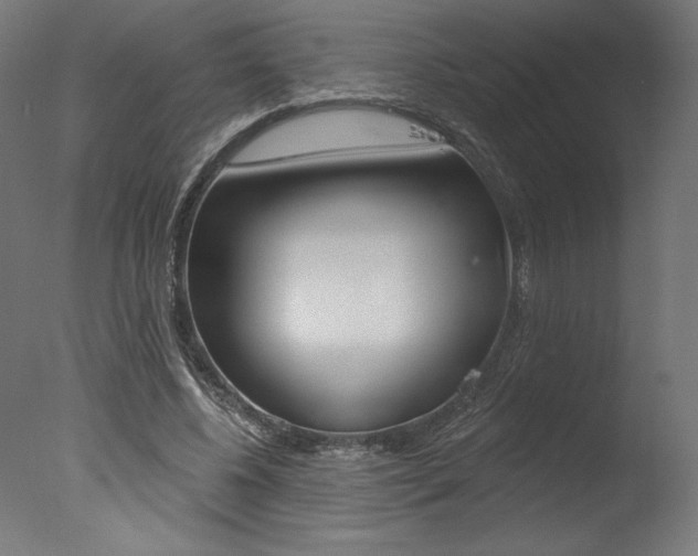 X0000077310540200610200844