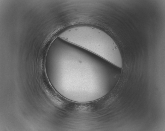 X0000077310542200610200844