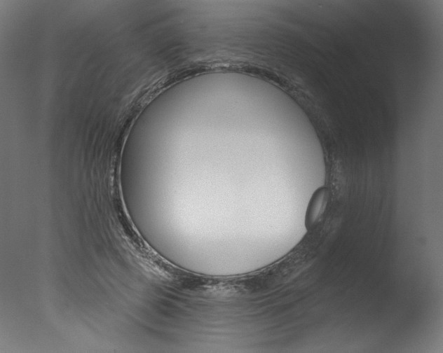 X0000077310545200610200844