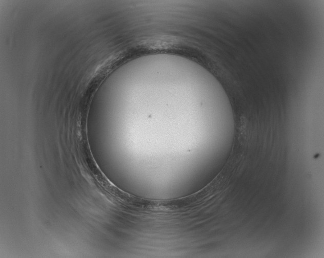 X0000077310547200610200844