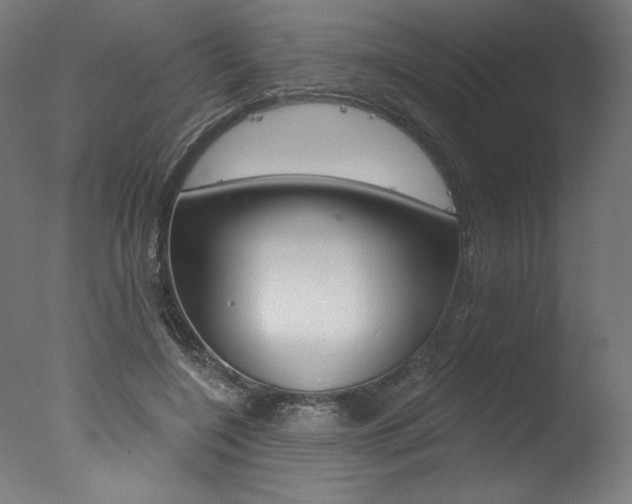 X0000077310548200610200844