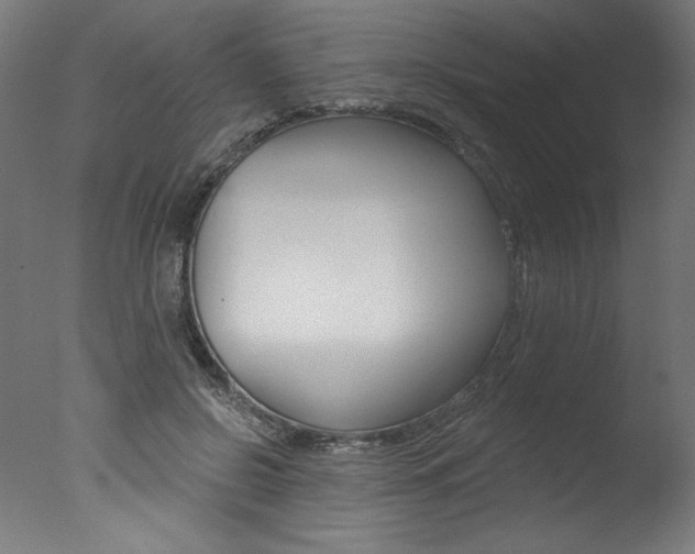 X0000077310550200610200844