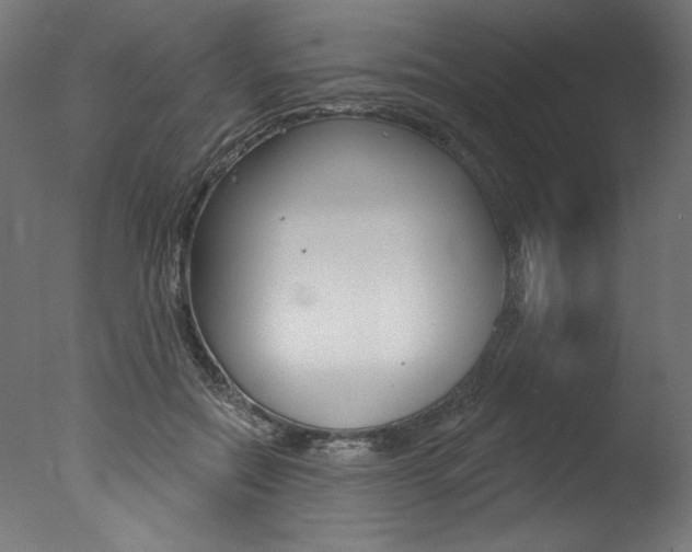 X0000077310554200610200844