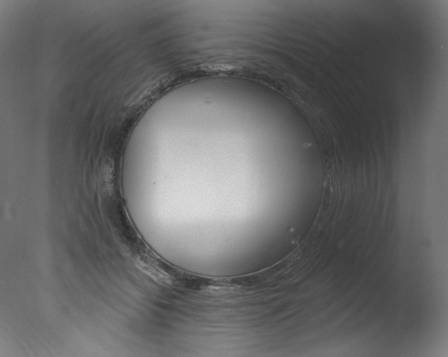X0000077310556200610200844