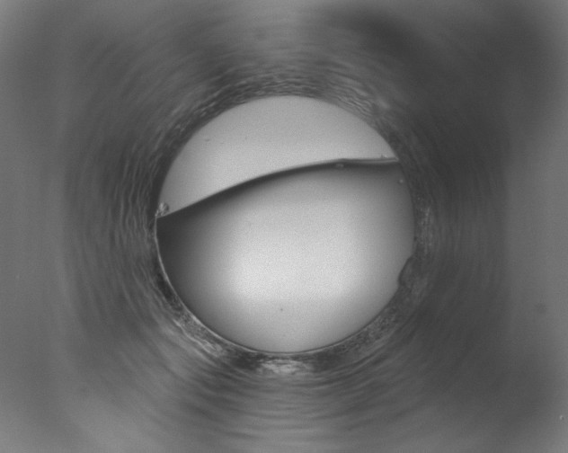 X0000077310557200610200844