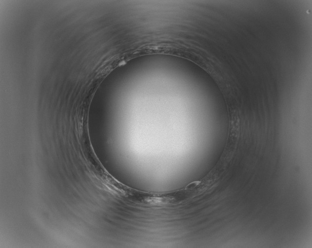 X0000077310558200610200844