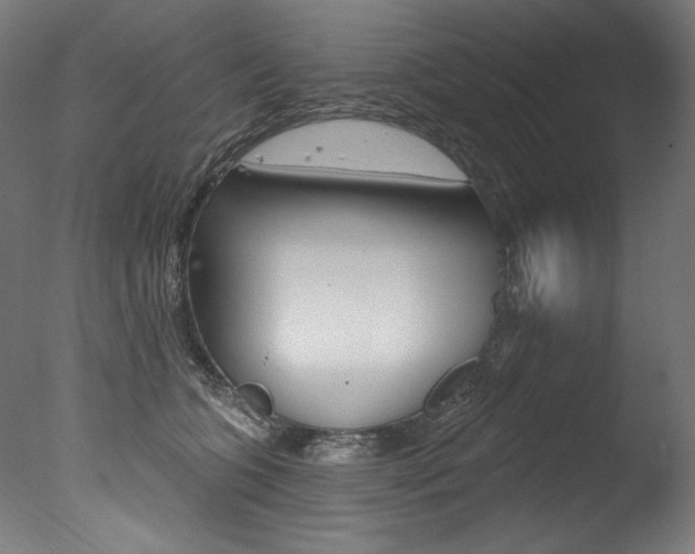 X0000077310563200610200844