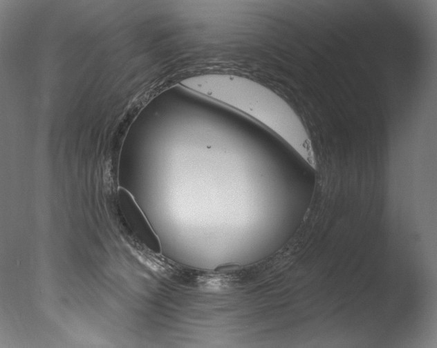 X0000077310564200610200844