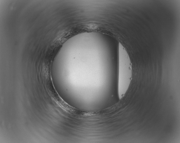 X0000077310568200610200844