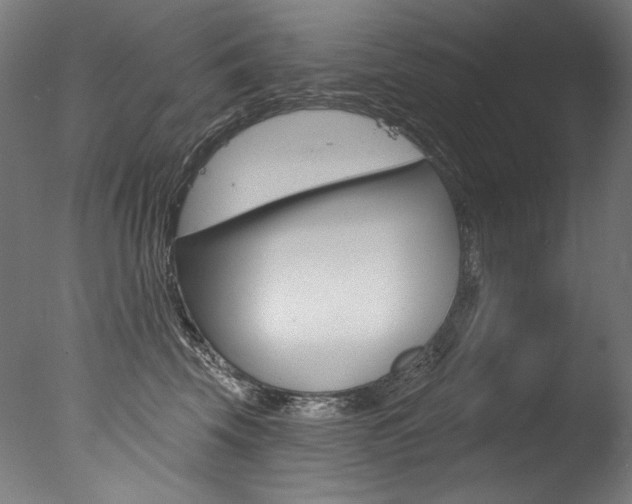 X0000077310569200610200844