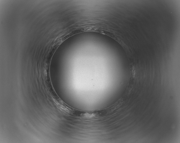 X0000077310570200610200844
